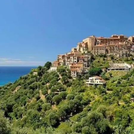 Odore Di Mare * Pisciotta
